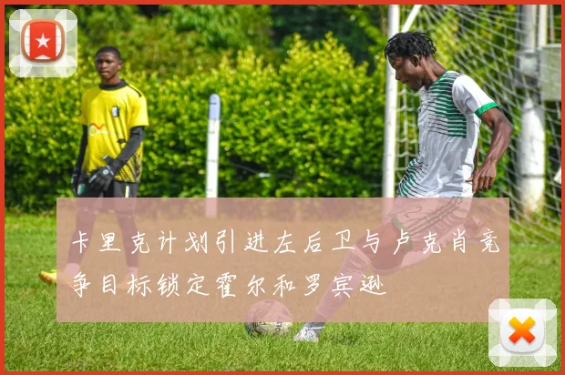 卡里克计划引进左后卫与卢克肖竞争目标锁定霍尔和罗宾逊