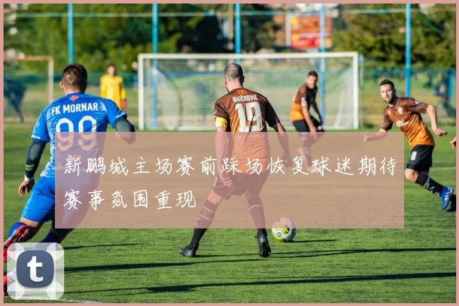 新鹏城主场赛前踩场恢复球迷期待赛事氛围重现